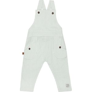 Frogs and Dogs - Dino gestreepte tuinbroek | White Alyssum - Katoen - Maat 86
