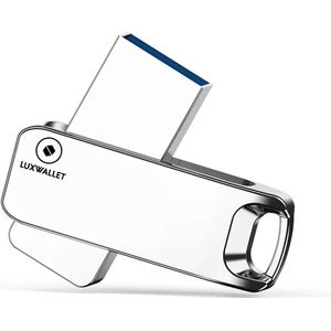 LUXWALLET DataStorm – USB 2.0 FlashDrive – 64GB - Ingebouwde Beveiliging – USB Stick – Sleutelhanger Design - Metalen Behuizing - Zilver