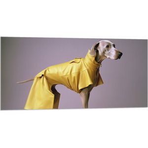 Vlag - Zijaanzicht van Duitse Dog Hond in Gele Regenjas - 100x50 cm Foto op Polyester Vlag