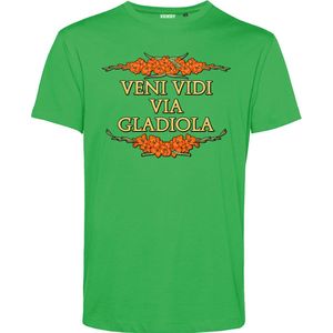 T-shirt Veni Vidi Via Gladiola | Vierdaagse shirt | Wandelvierdaagse Nijmegen | Roze woensdag | Groen | maat XS