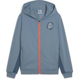 PUMA ACTIVE SPORTS Graphic Full-Zip Hoodie TR B Jongens Sporttrui - Cool Blue