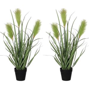 2x stuks riet grasplant kunstplanten groen in keramieken pot H53 x D30 cm - Kunstplanten/nepplanten met bloemen