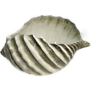 Schelp schaal groot gedraaid wit bruin 26x20 h13 | Wijnkoeler | Decoratie | Fruitschaal | Bloempot klein bruin wit 20 x 18 cm | SP03 | Piccobella