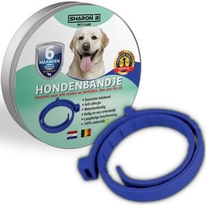 Vlooienband voor honden - Blauw - 100% natuurlijk - Vlooien en teken - geschikt voor alle honden - anti allergie - zonder pesticiden