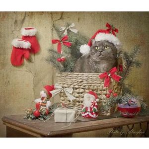 Diamond painting volwassenen - Diamond painting kerst - Kerst kat in mandje 40x30cm - Ronde steentjes - Volledig pakket