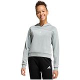 Adidas Holiday Glam Cropped Hoodie Grijs 14-15 Years Meisjes