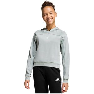 Adidas Holiday Glam Cropped Hoodie Grijs 14-15 Years Meisjes