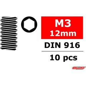 Team Corally - Staal stelschroeven M3 x 12mm - Binnenzeskant - 10 st