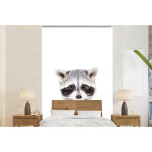 Wasbeer - Dieren - Natuur - Wit - Behangpapier