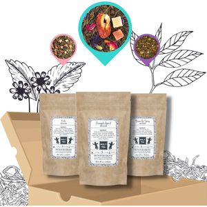 Losbladige Groene Thee Bundel TWEE - Theedoos - Pakket van 3 premium groene thee mengsels - Green Tea Bundle - Pineapple Apricot, Exotic & Dream of Spring - Holy Tea Amsterdam - 3 x 50 grams