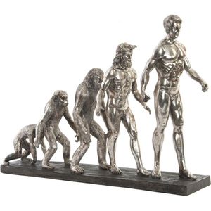 DKD Home Decor - Origin of Species - Decoratieve Figuren - Ziverachtig - Hars - Modern