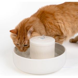Solacis Drinkfontein kat - Draadloos - Drink fontein kat - Water - Huisdieren - Must have voor uw kat!
