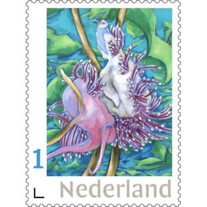 Postzegels voor post - Pearls of the Sea 3  (10 stuks kopen)