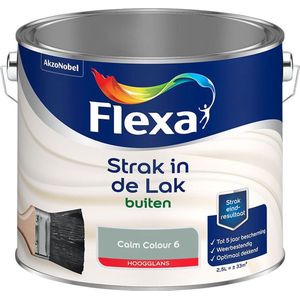 Flexa Strak in de lak - Buitenlak Hoogglans - Calm Colour 6 - 1l