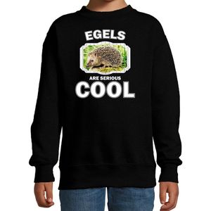 Dieren egels sweater zwart kinderen - egels are serious cool trui jongens/ meisjes - cadeau egel/ egels liefhebber - kinderkleding / kleding 134/146