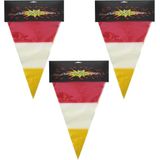 3x stuks plastic vlaggenlijn rood/wit/geel carnaval 10 meters - kleuren van Den Bosch