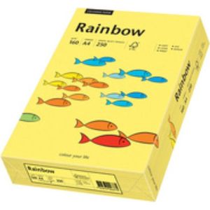 Rainbow gekleurd papier A4 160 gram 24 oranje 250 vel
