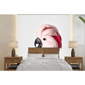 Kaketoe - Roze - Dieren - Natuur - Behangpapier