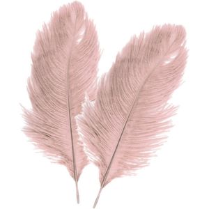Chaks Struisvogelveren/sierveren - 4x - oud roze - 30-35 cm - decoratie/hobbymateriaal