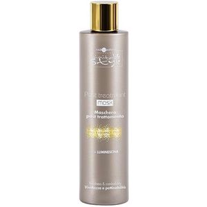 Hair Company Inimitable Style stabiliserend masker met zijde-extract en aloë vera 200 ml (8033075259907)