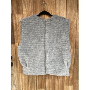 Gilet Teddy - Grijs