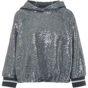 Bsb - Trui - Zilver - S (36)