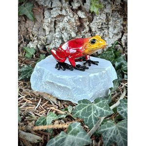 Kikker gekleurd op rots rood-geel MASSIEF BRONS 10 cm hoog - bronzen beeld - tuinbeeld - hoogkwalitatief brons - decoratiefiguur - interieur - accessoire - voor binnen - voor buiten - cadeau - geschenk - kerst - nieuwjaar - verjaardag