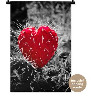 Wandkleed Rood zwart wit - Zwart-wit foto met een rode hartvormige cactus Wandkleed katoen 60x90 cm - Wandtapijt met foto