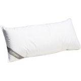 Yumeko hoofdkussen gerecycled dons 40x80 zacht - Biologisch & ecologisch