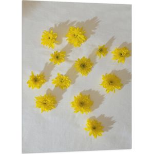 Vlag - Gele Paardenbloemen Patroon op Witte Achtergrond - 70x105 cm Foto op Polyester Vlag