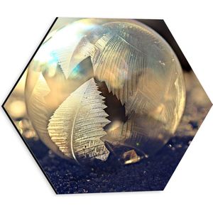 Dibond Hexagon - Bol - Glas - Bladeren - Steentjes - Kleuren - 30x26.1 cm Foto op Hexagon (Met Ophangsysteem)