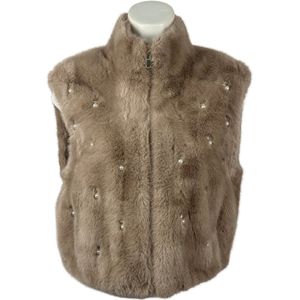 Chique Mouwloos Bodywarmer met Hoge Kwaliteit Faux Fur en Strass Steentjes - Dé wintertrend van 2024! - in 4 Kleuren - One Size