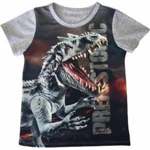 S&C dinosaurus t-shirt - Dino shirt - Prehistoric  - grijs - maat 92 (2)