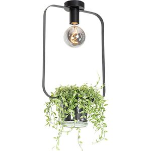 QAZQA roslini - Moderne Plafondlamp - 1 lichts - L 29 cm - Zwart - Woonkamer | Slaapkamer | Keuken