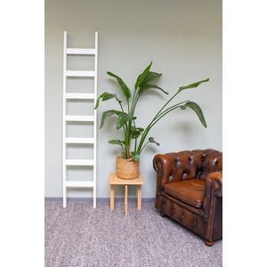 Enkele beuken houten ladder (wit) | Aantal sporten (inclusief cm): 6 sporten (175 cm)