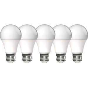LED's Light LED lampen met grote E27 fitting - Warm wit licht - 8W/60W - 5PACK
