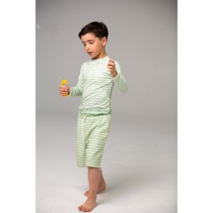 Ducksday - Zwemshort voor jongen - boardshort - UV-werend - UPF50+ - Surf - Andes - Muntgroen gestreept - Maat 4 jaar - 98/104