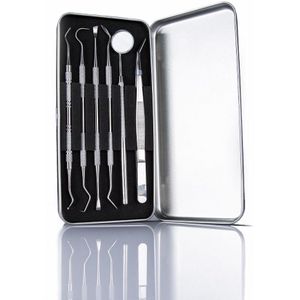 Professionele mondhygiëneset 6-delig RVS