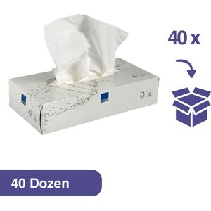 Care-Ness Facial Tissues Excellent - Tissue Box - Tissues Voordeelverpakking - 40 x 100 Tissues - 2 laags