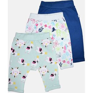 alisé Baby joggingbroek set 12-18m Mix