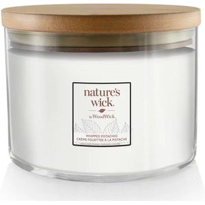 Nature's Wick - Whipped Pistachio Large 3 Wick Tumbler