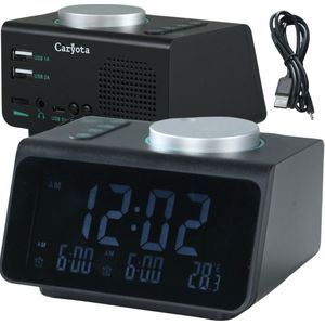 Caryota - Wekkerradio - Dubbel Alarm - Duo Oplader - FM - Temperatuur/Luchtvochtigheidsmeter