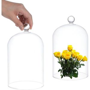 Antieke glazen stolp met balhandvat voor planten en decoratie - Tafeldecoratie en verzamelobjecten met transparante glazen klok