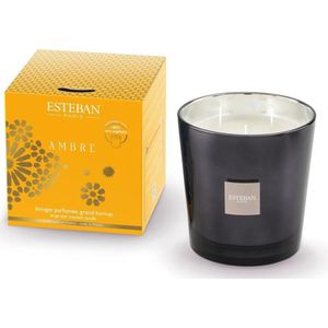 Esteban Classic Ambre Geurkaars 450gr