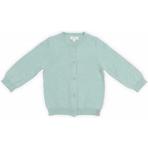 Jollein vestje Pretty knit stone green Maat 50/56