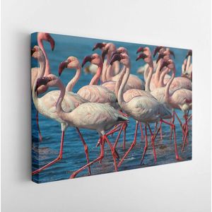Wild african birds. Group of pink flamingo birds on the blue lagoon. Walvis bay, Namibia - Modern Art Canvas - Horizontal - 1550394242 - 50*40 Horizontal