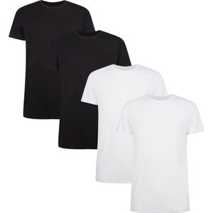 Bamboo basics T-shirt RUBEN Verpakking van 4