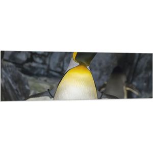 Vlag - Pingïun met Spitse Snavel en Neon Gele Contouren - 150x50 cm Foto op Polyester Vlag