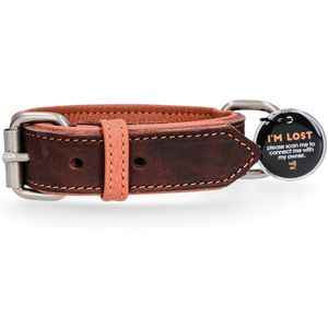 Spotted! PRO Leren Halsband – Honden halsband met QR-penning – Halsband met magneetsluiting – Waterproof – Maat S – 45 cm – Bruin