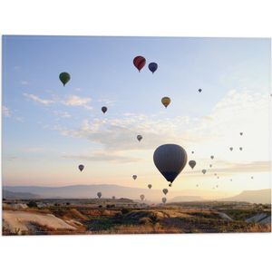 WallClassics - Vlag - Zee van Verschillende Kleuren Luchtballonnen boven Natuur Landschap - 40x30 cm Foto op Polyester Vlag